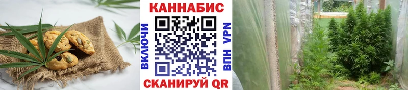 ссылка на мегу вход  купить наркотик  Нытва  Canna-Cookies конопля 