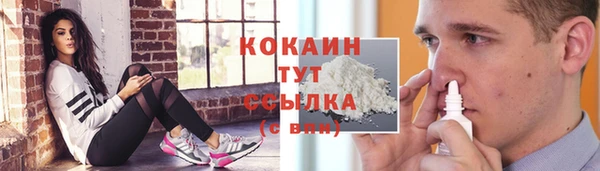 шишки Заволжск