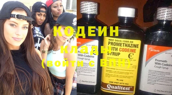 шишки Заволжск