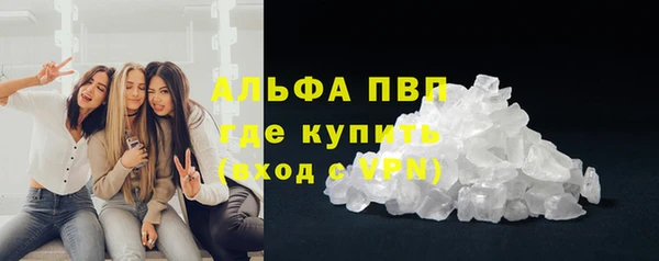 шишки Заволжск