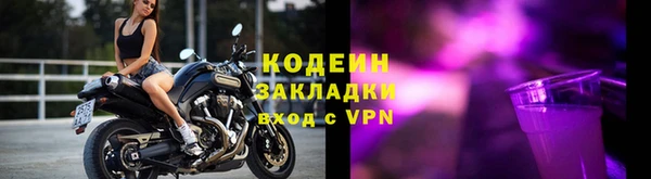шишки Заволжск