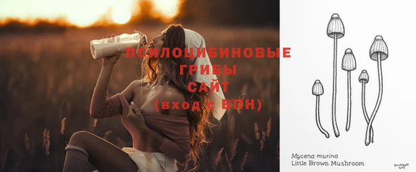 наркотики Заводоуковск