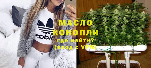 шишки Заволжск