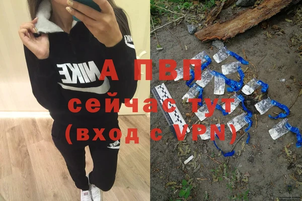 шишки Заволжск